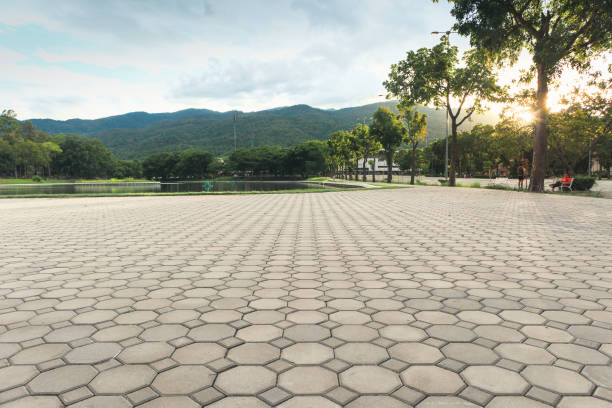 Best Interlocking Driveway Pavers  in Louisburg, NC