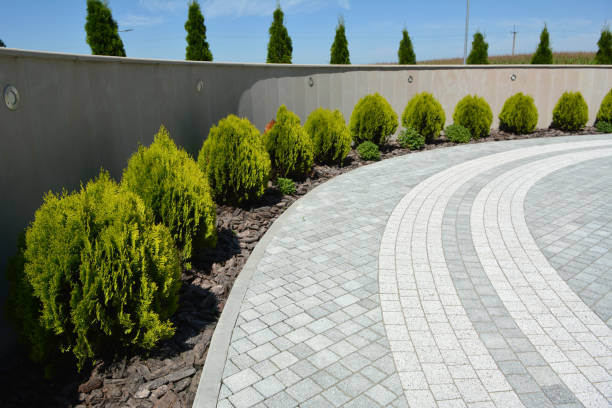 Best Permeable Paver Driveway  in Louisburg, NC