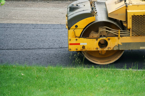 Best Local Driveway Pavers  in Louisburg, NC
